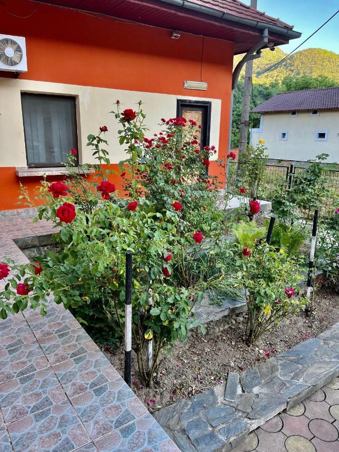 Pensiunea Orhideea Băile Herculane Exterior foto